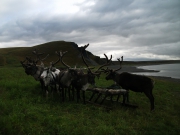 DSCF4638.JPG