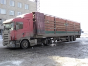 DSC07501.JPG