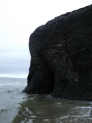 DSC08726.JPG