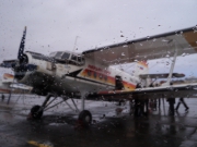 DSC08802.JPG