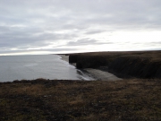 DSC08786.JPG