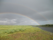 DSCF4731.JPG