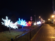 DSC08804.JPG